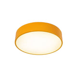 Colorful Fun: Dimmable LED Ceiling Light for Kids