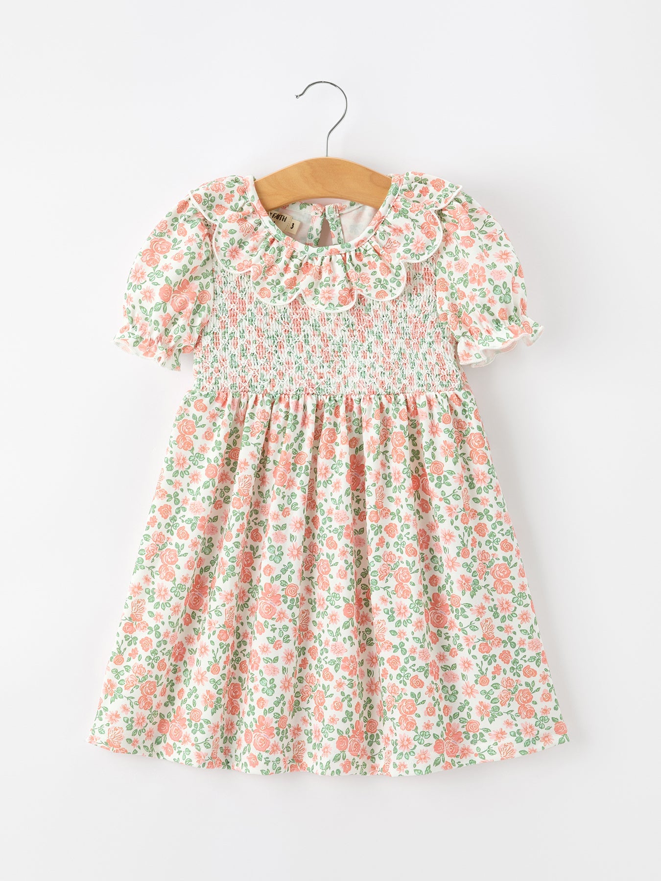 Three Little Tots Fall Blush Floral Girls Dress Smocked Petal Collar