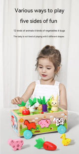 Three Little Tots Wooden Farm Animal Car Pulling Radishes Bug Catching Educational Toy, extra product detail