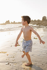Three Little Tots Sardine Swim Shorts, additional view