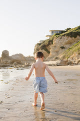 Three Little Tots Light Blue Gingham Swim Shorts, third additional photo