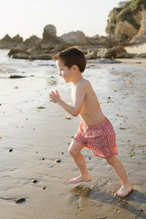 Three Little Tots Gingham Swim Shorts, alternate angle