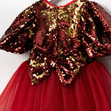 Scarlett Sequin Tulle Dress
