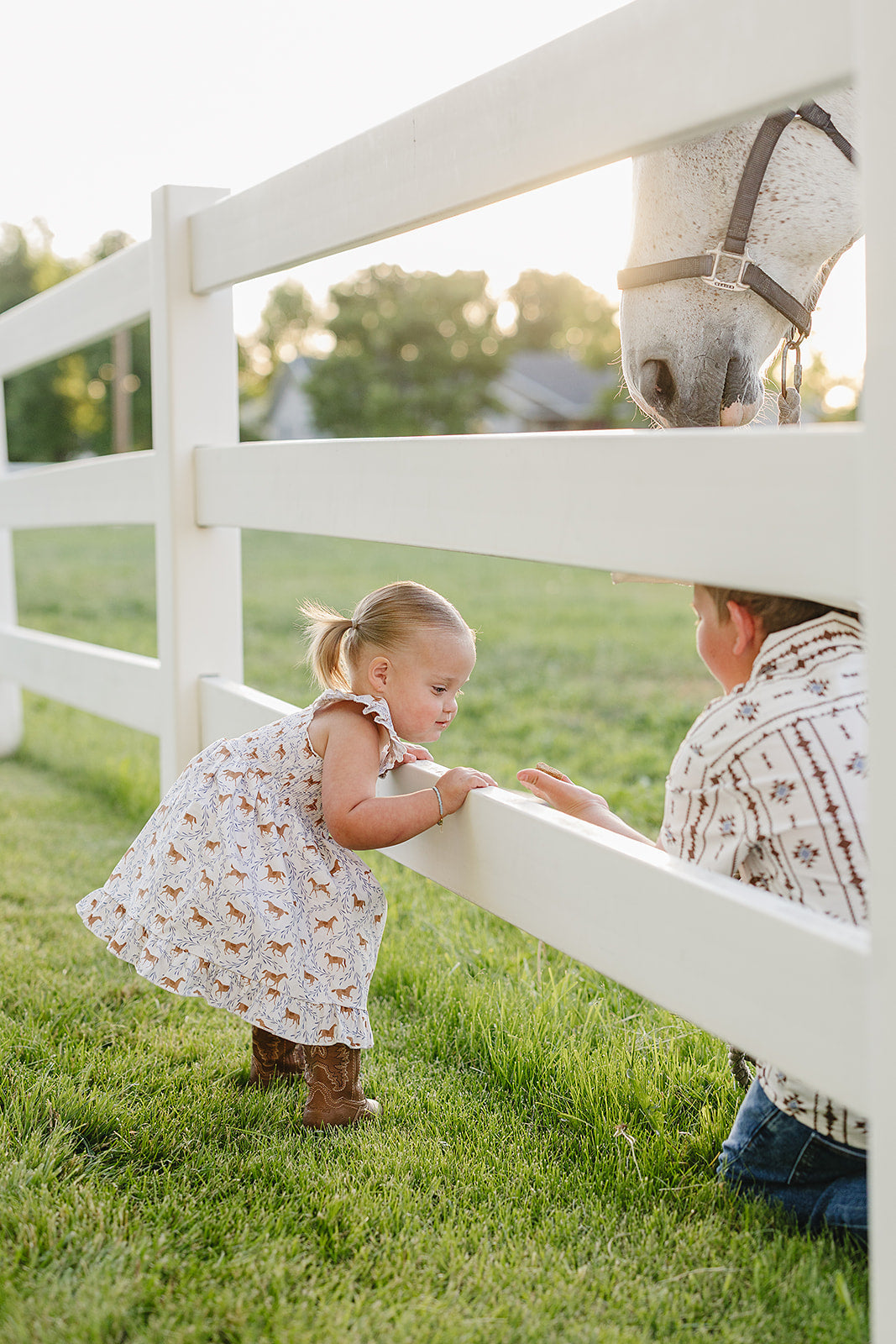 Pony Smocked Dress
