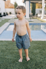 Three Little Tots Navy Gingham Swim Shorts, additional product photo