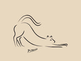 Picasso - The Cat