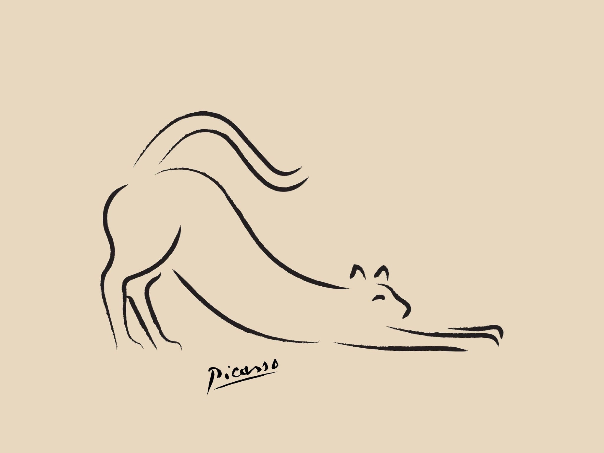 Picasso - The Cat