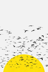 Setting Sun Flock