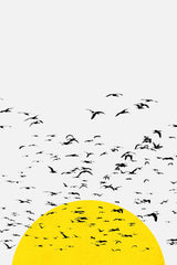 Setting Sun Flock