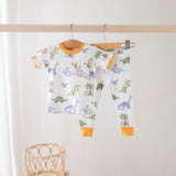 Three Little Tots Dino-mite Birthday Organic Cotton Pajamas