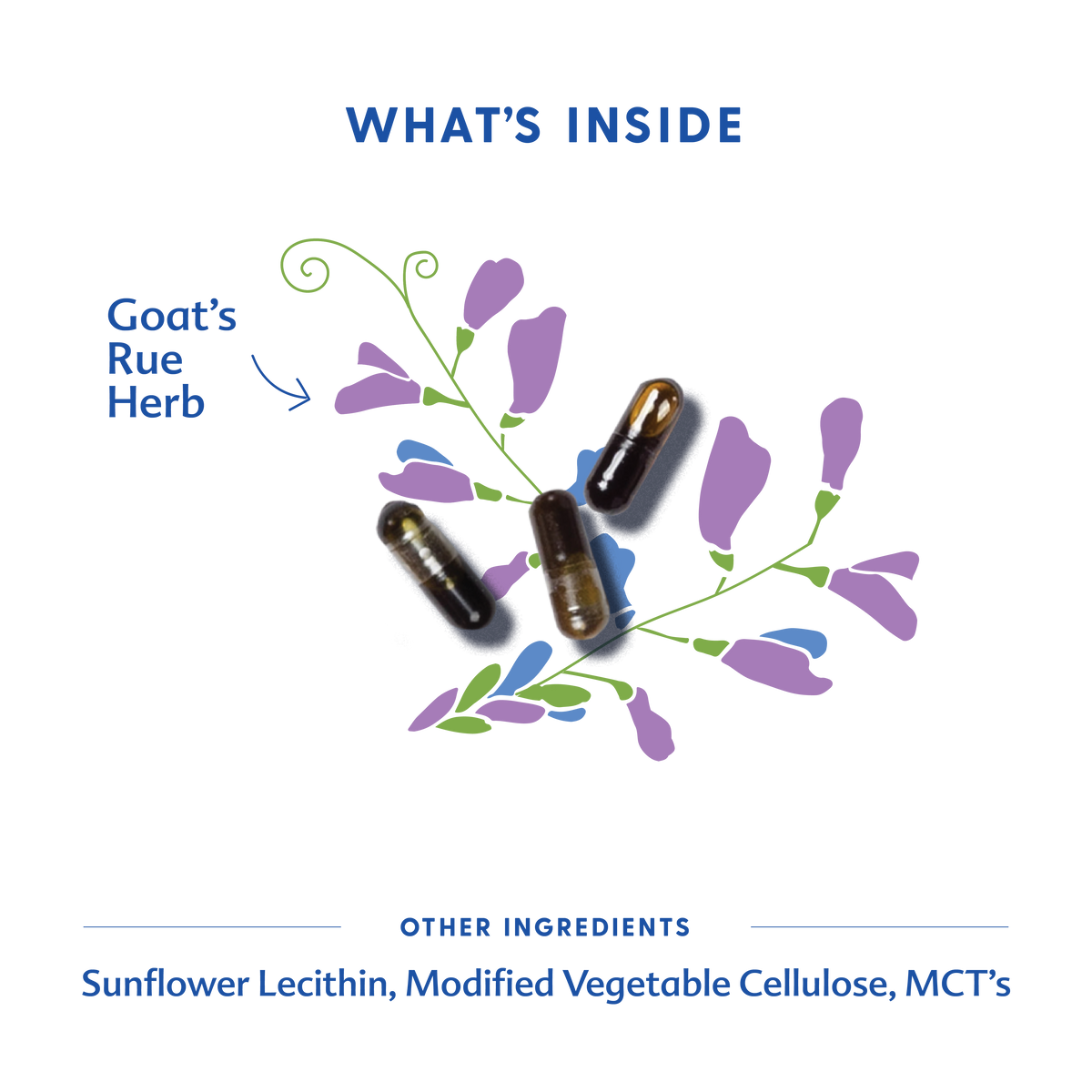 Three Little Tots Goat's Rue - Liquid Capsules, supplementary photo