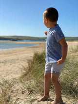 Grey Stripe Turn-up Shorts