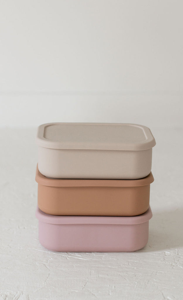 Silicone Bento box