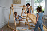 Three Little Tots Juniper Toddler Climber and Swing Foldable, extra product detail