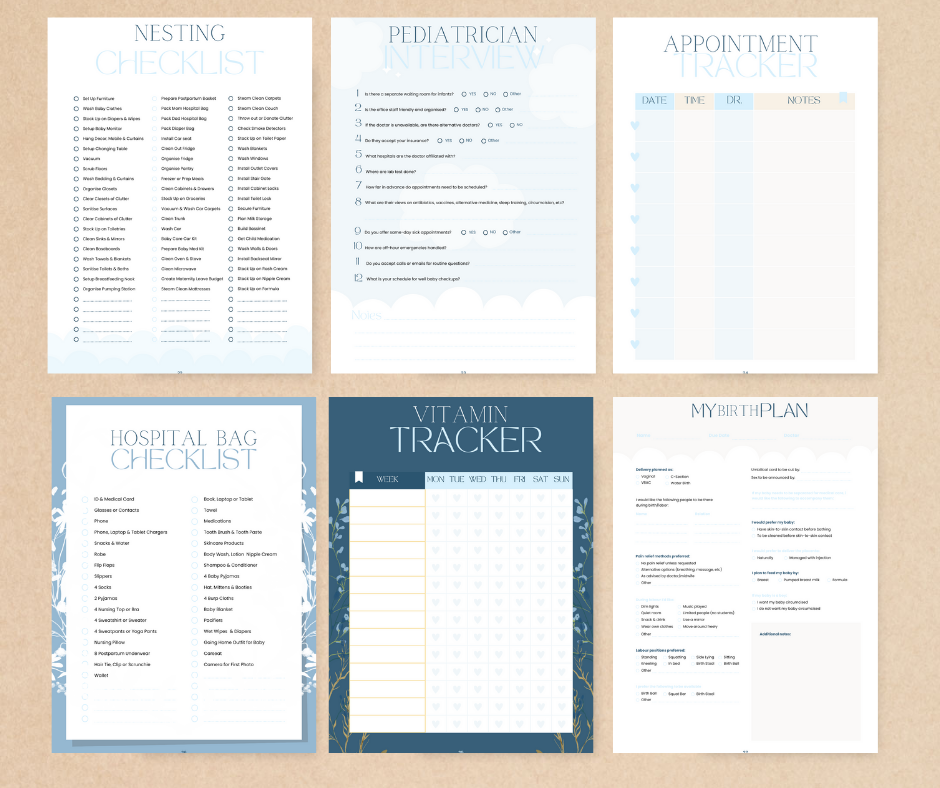 The Ultimate Pregnancy Journal