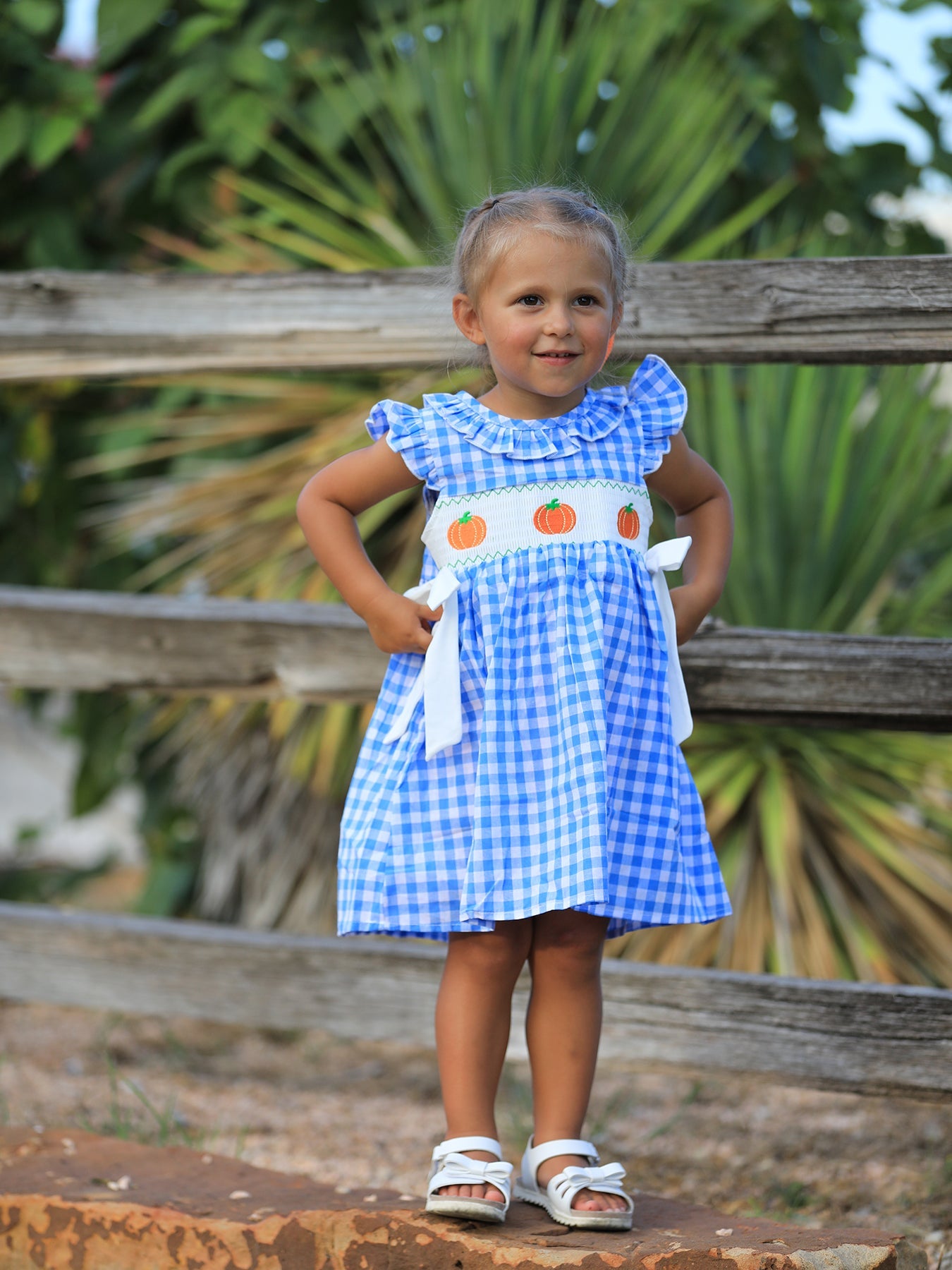 Three Little Tots Fall Thanksgivingand Halloween Blue Pumpkin Smock Embroidery Baby Girl Dress, additional product photo