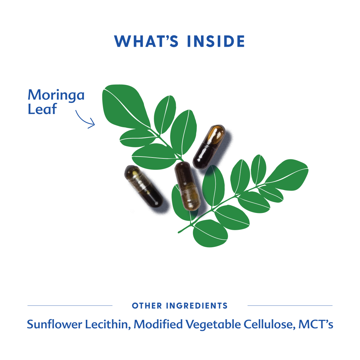 Three Little Tots Moringa Malunggay - Liquid Capsules, supplementary photo
