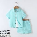 Boy's Summer Relaxed Shirt and Short Set