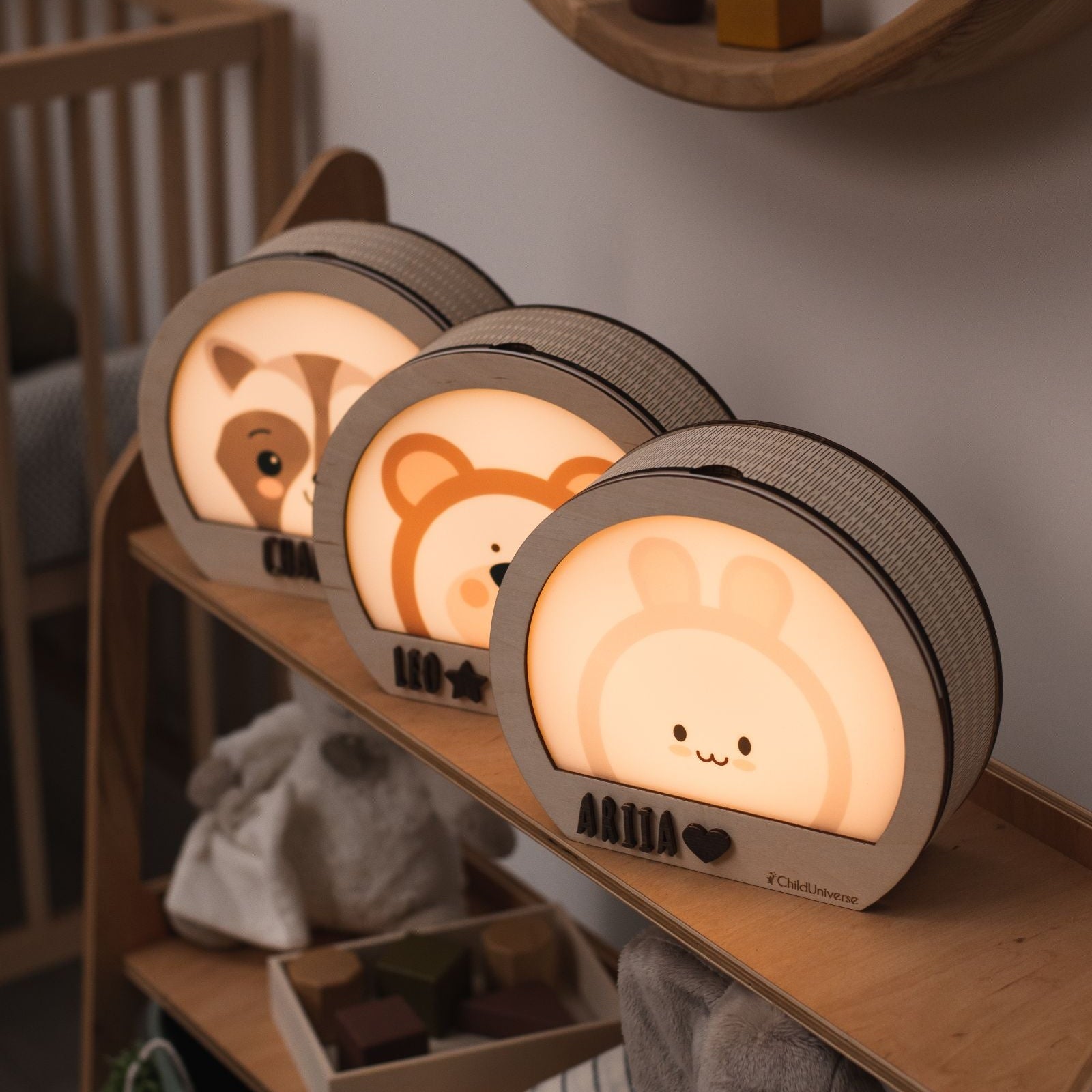 Raccoon Night Light