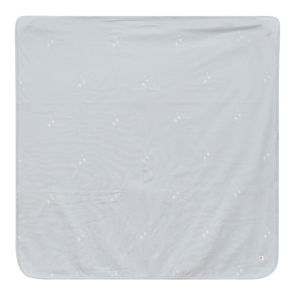 Strawberry and Dot Print Blanket