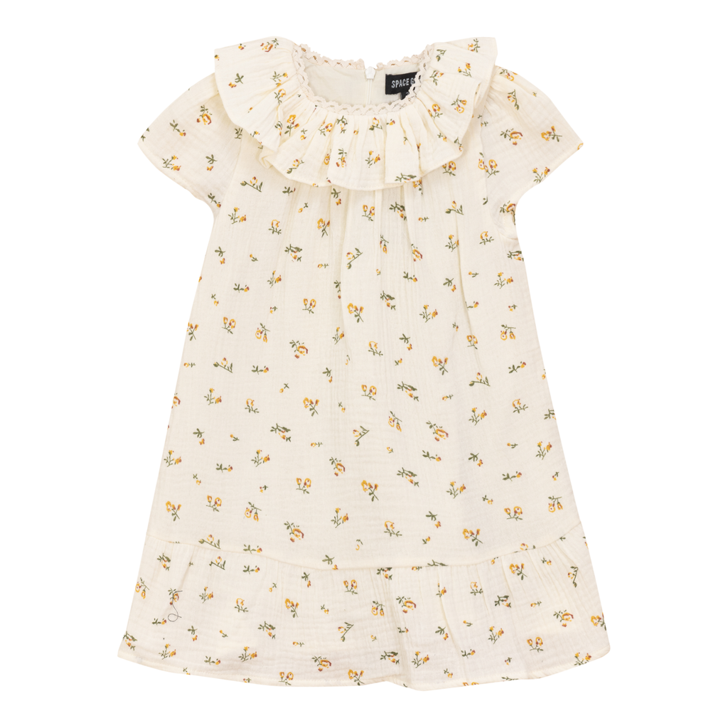 Floral Printed Dress