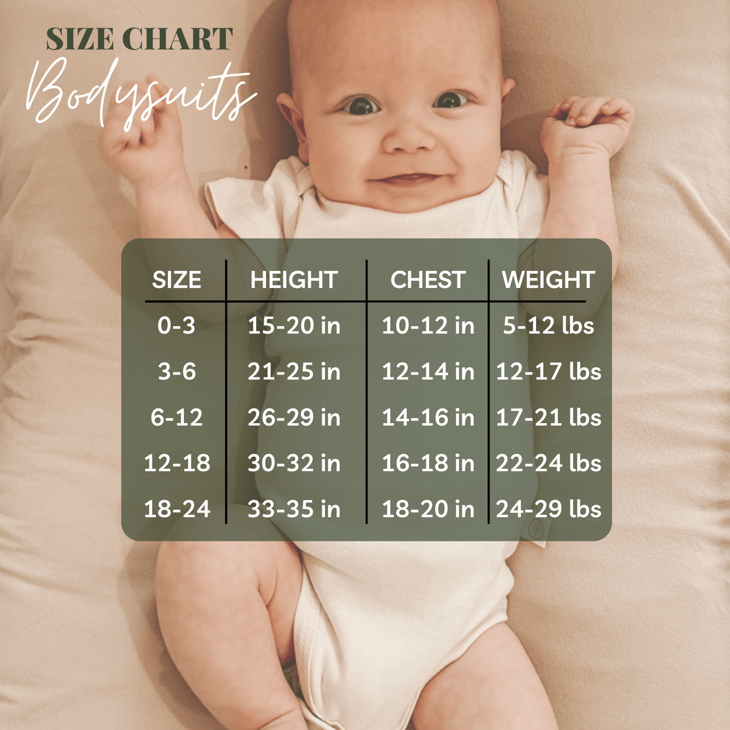Three Little Tots Little Sister Clay Organic Cotton Short Sleeve Baby Bodysuit, extra product detail