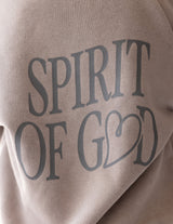 Three Little Tots Spirit of God Kids Hoodie, additional view