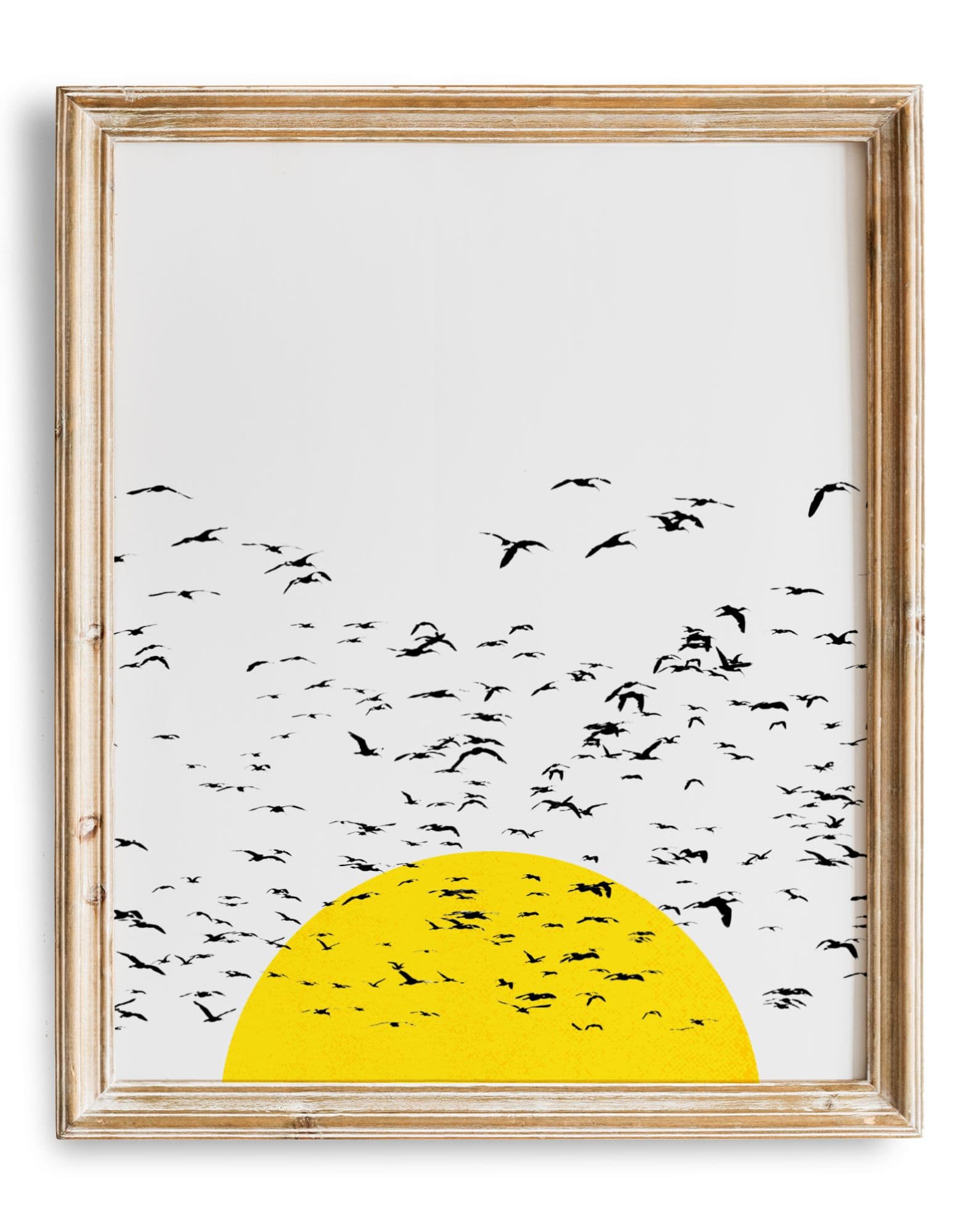 Setting Sun Flock