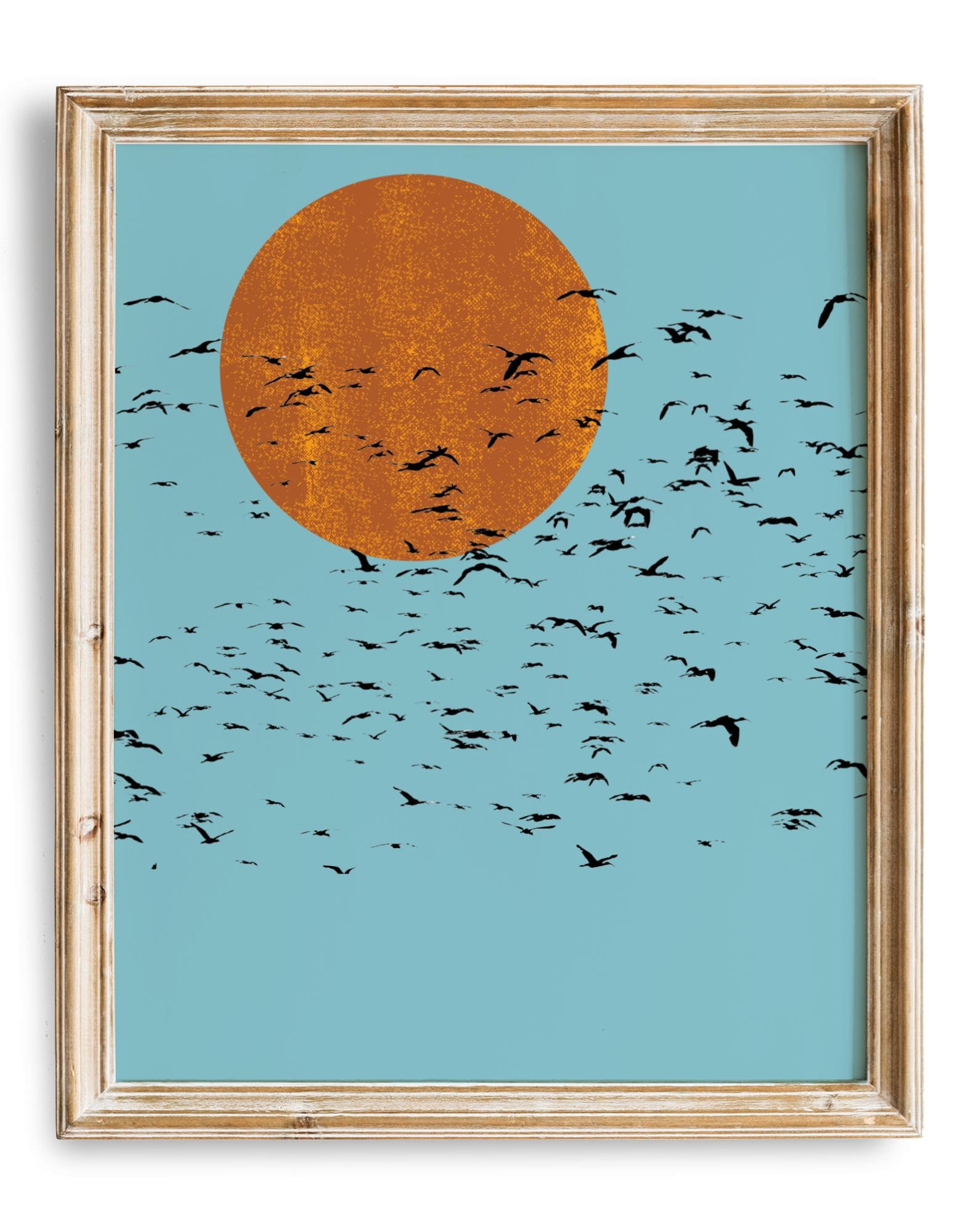 Rising Sun Flock