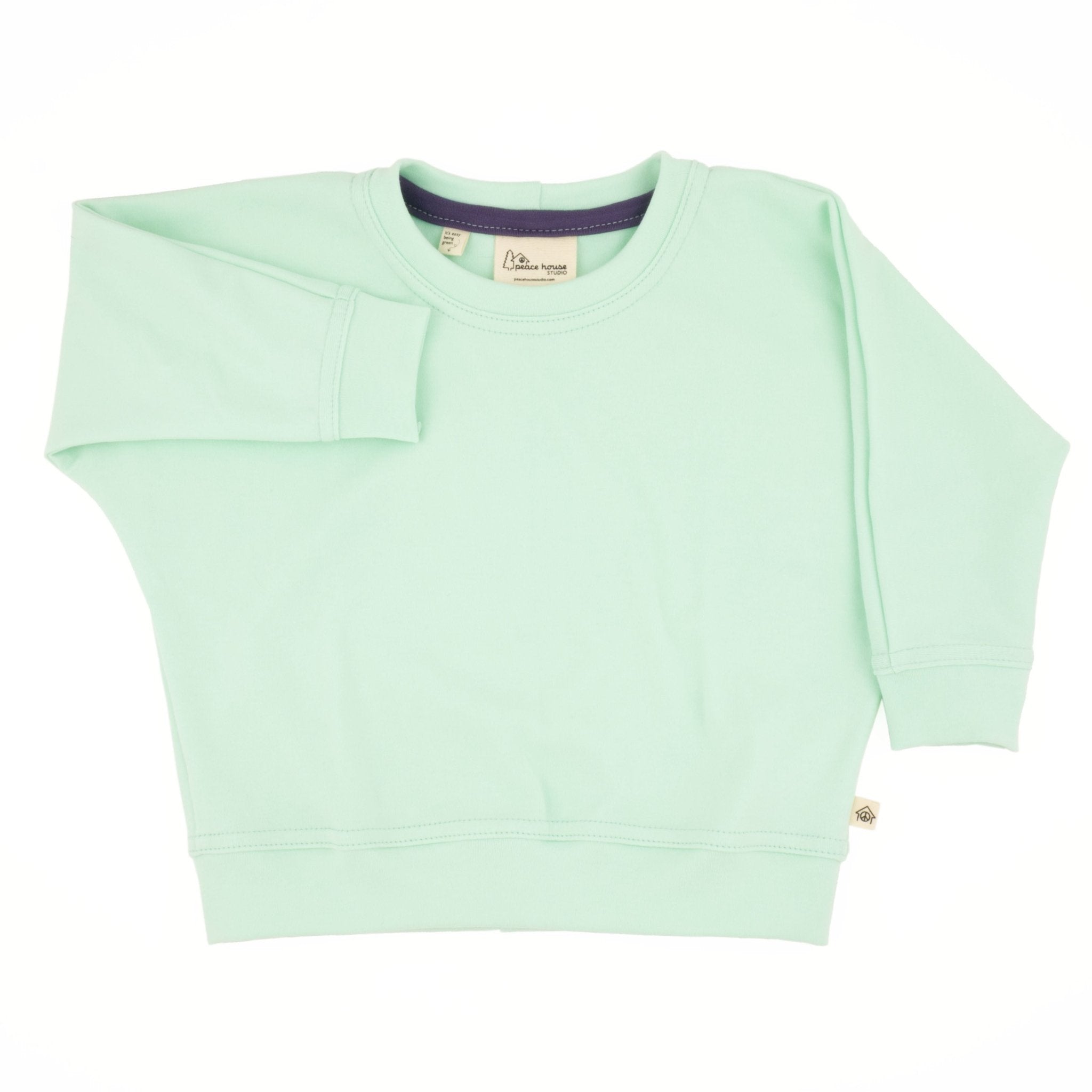 Three Little Tots Baby Simple Sweatshirt, in Seafoam