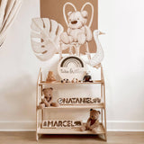 Montessori Toy Shelf