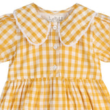 Three Little Tots Citrus Gingham Girls Dorothy Dress, another angle