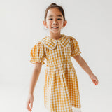 Three Little Tots Citrus Gingham Girls Dorothy Dress, additional view