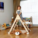 Climbing Triangle, Arch Rocker, Pillow, and 2in1 Ramp / 4 Pieces Set