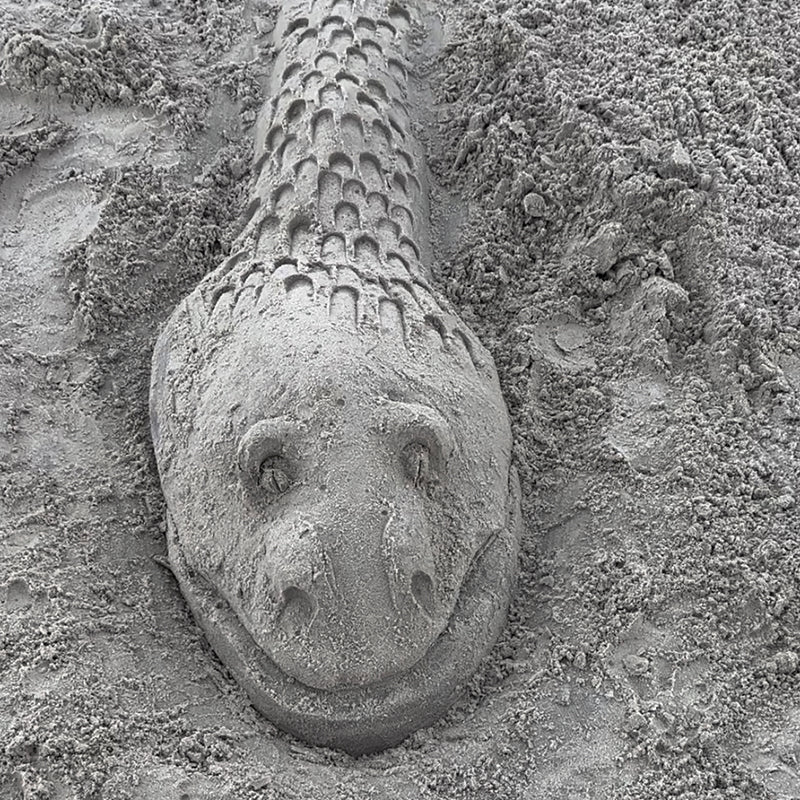 Create A Castle Tool Kit For Perfect Mermaids, Dolphins or Dragons on the beach