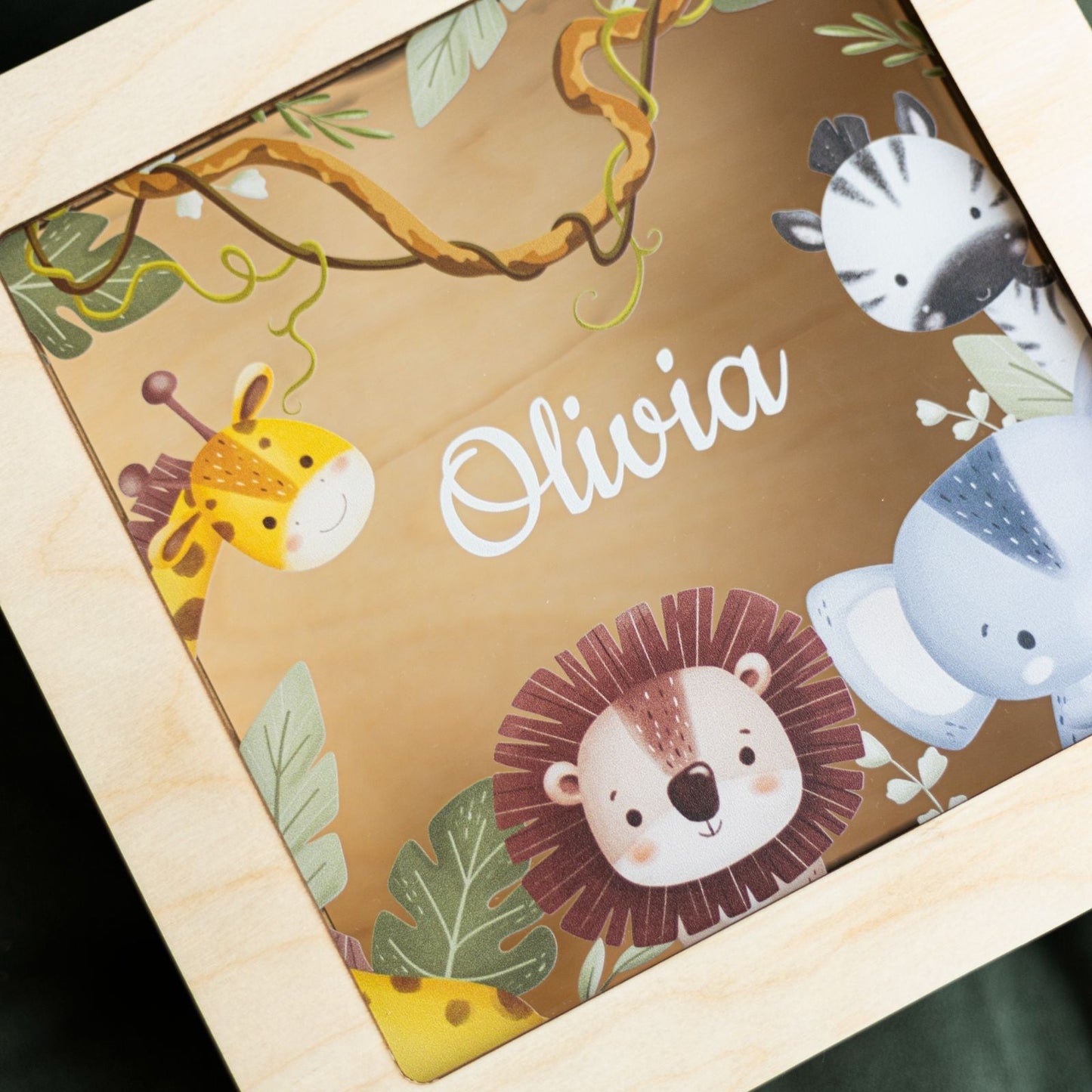 Custom Acrylic Boxes - Safari