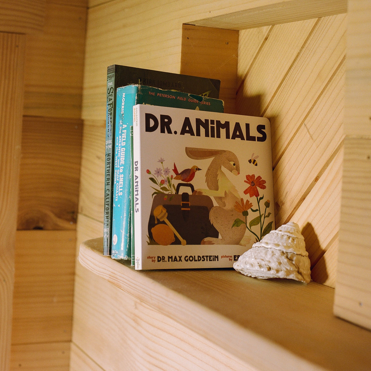 Children’s Book - Dr. Animals