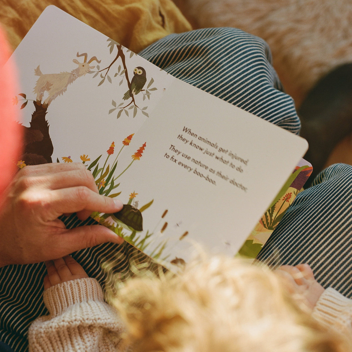 Children’s Book - Dr. Animals