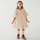Three Little Tots Embroidered Schiffli Dress