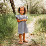 Three Little Tots Embroidered Yoke Eith Ruffle Sleeves Dress