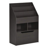HOMCOM Kids Bookcase Multi-Shelf Book Rack with Mobile Drawer, Brown