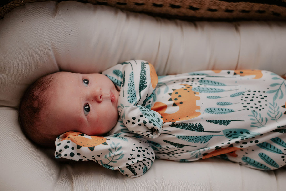 Ultra-soft Dinosaur baby gowns with stretchy fabric and tie bottom for easy night-time diaper changes. Snuggle Me Organics in a Plum and Sparrow Moses Basket