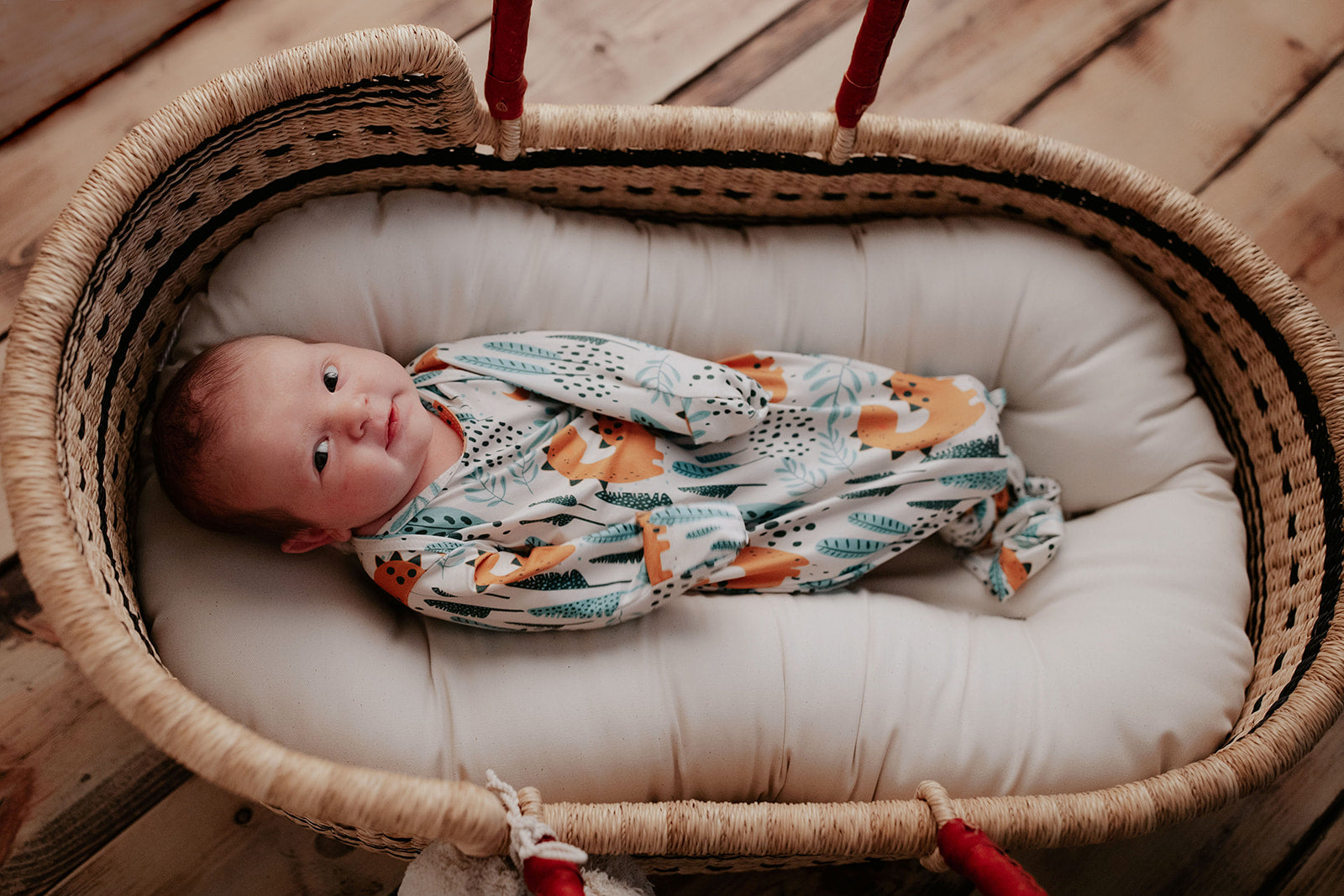Ultra-soft Dinosaur baby gowns with stretchy fabric and tie bottom for easy night-time diaper changes.