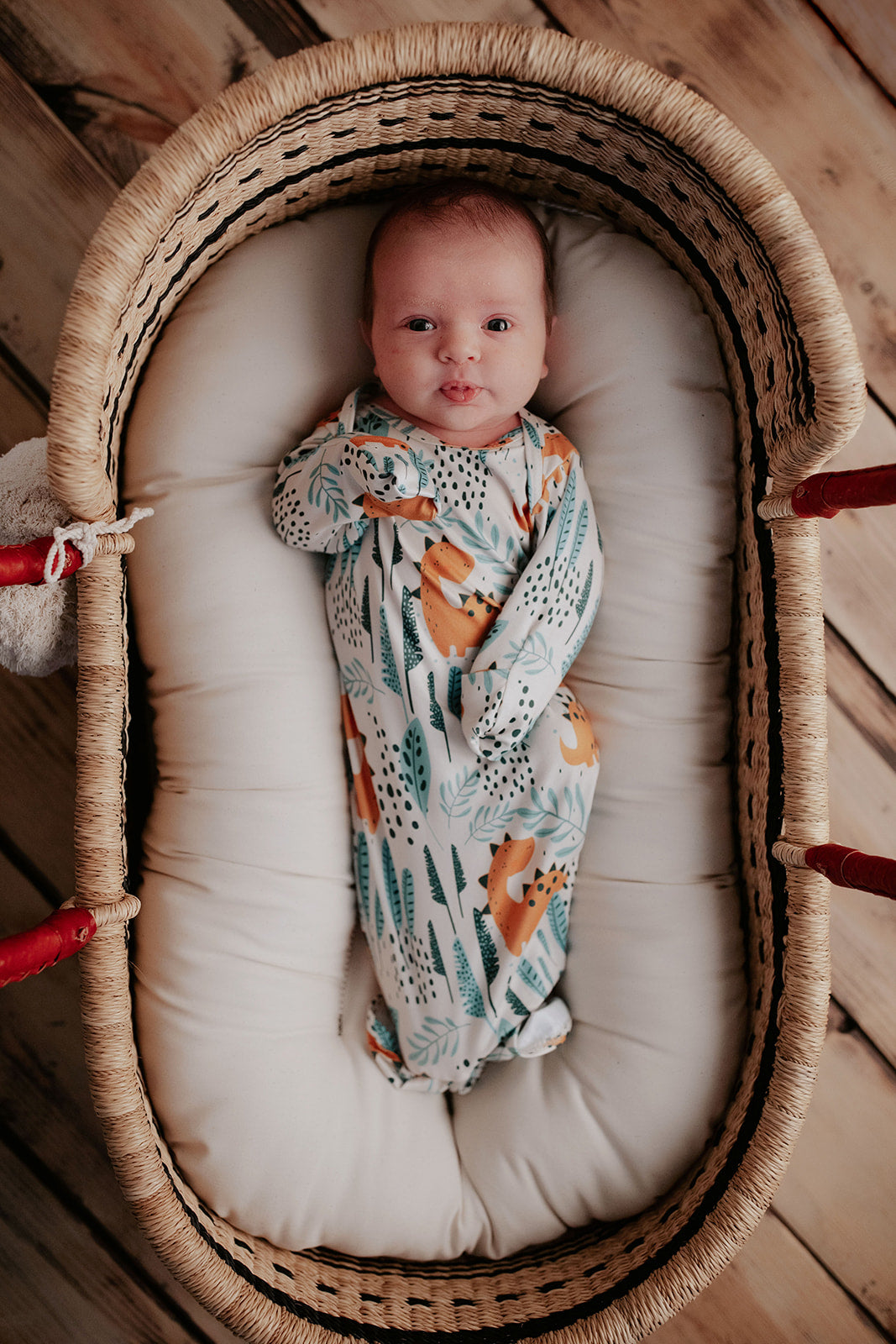 Three Little Tots Dinosaur Themed Newborn Knotted Gown, additional product photo