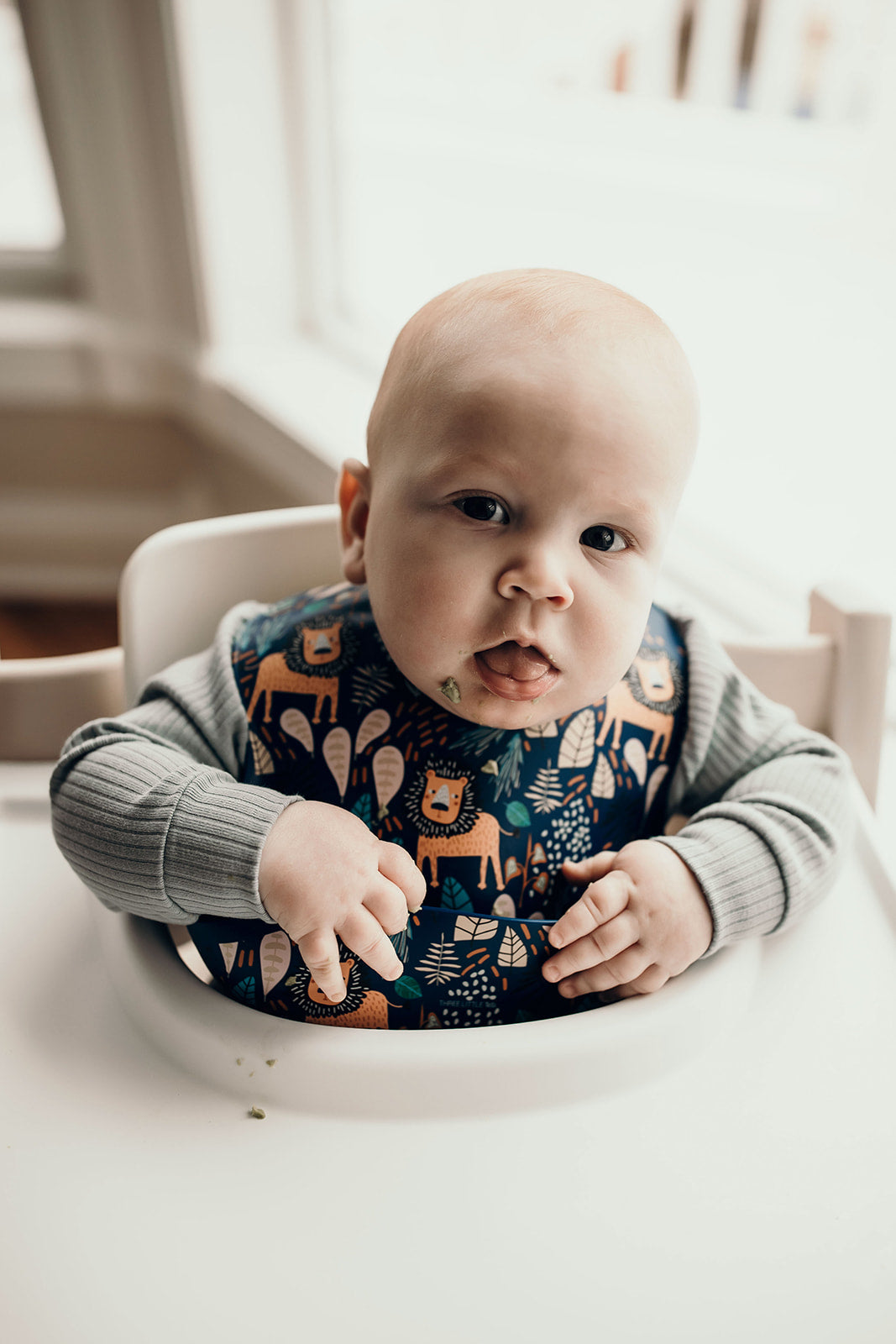 Lion Silicone Bib with Crumb Catcher