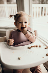 Lilac Silicone Bib with Crumb Catcher