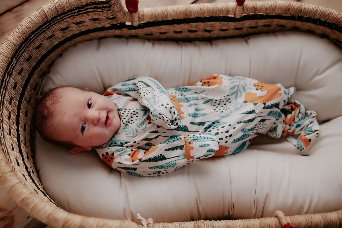 Ultra-soft Dinosaur baby gowns with stretchy fabric and tie bottom for easy night-time diaper changes. Plum and sparrow basket with a Snuggle Me organic