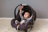 keep germs away from your newborn with a no touching sign